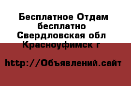 Бесплатное Отдам бесплатно. Свердловская обл.,Красноуфимск г.